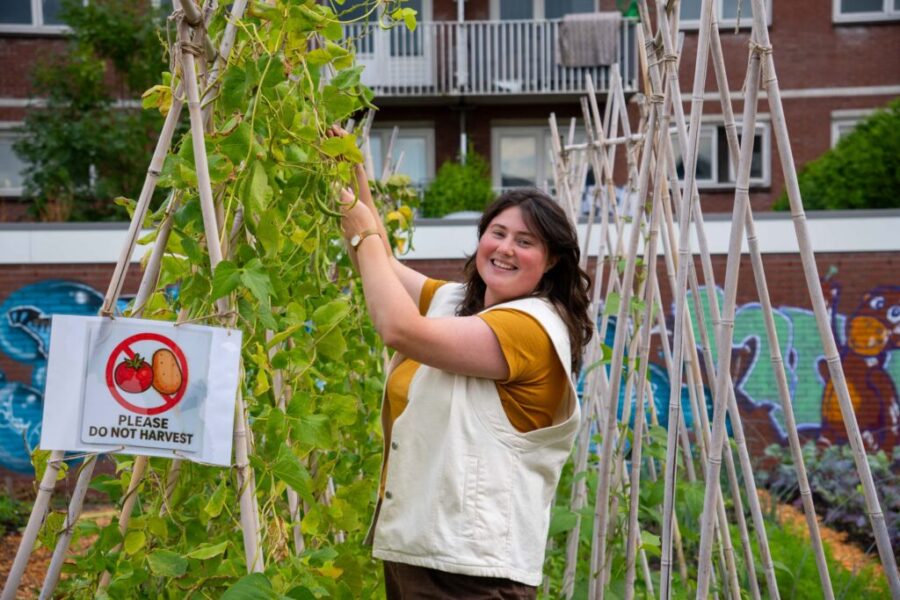 Van Asfalt naar Aardbei